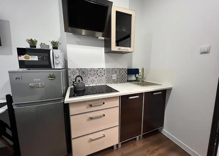 Apartmentsbymatyrafa-ii Tarnowskie Góry